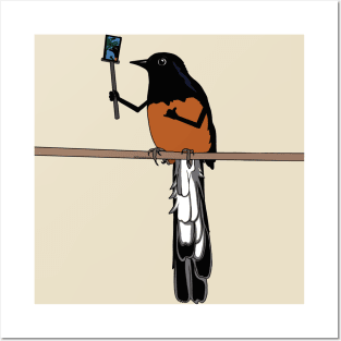 White-Rumped Shama Shaka Selfie Posters and Art